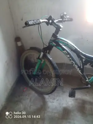 Langer Bicycle