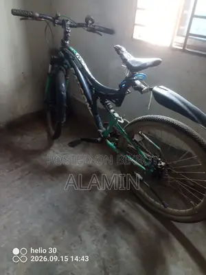 Langer Bicycle