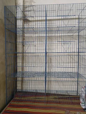 Pigeon Cage