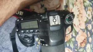 Canon 80D Lens 55-250mm