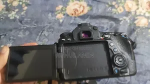 Canon 80D Lens 55-250mm