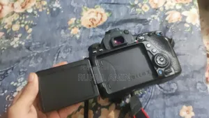 Canon 80D Lens 55-250mm