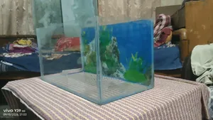 Aquarium ᅠ