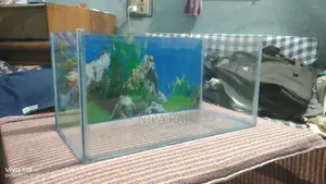 Aquarium ᅠ