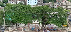 শিক্ষক নিয়োগ