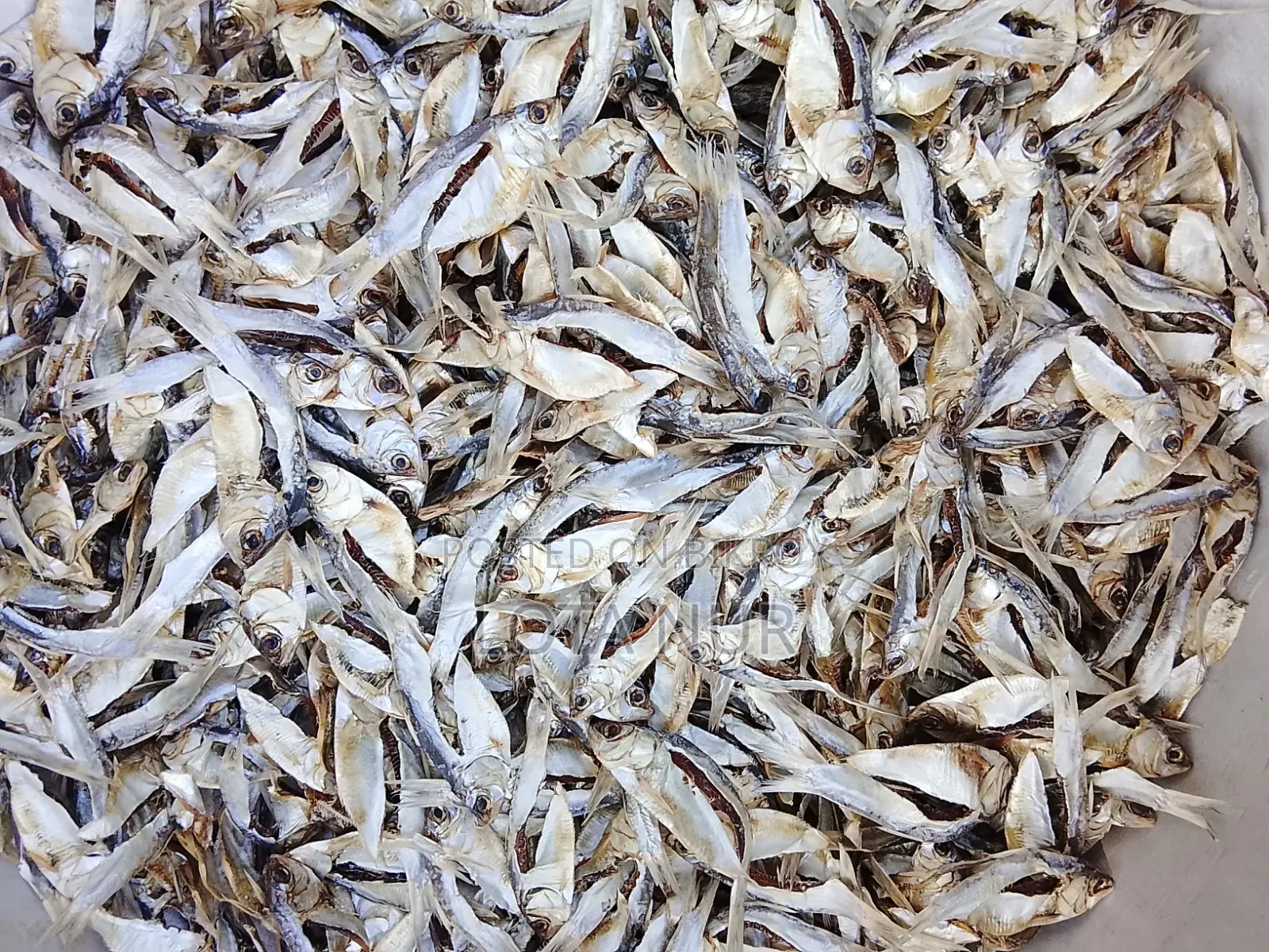 Rangamati Fresh Water Chapila Dried Fish