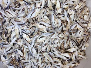 Rangamati Fresh Water Chapila Dried Fish