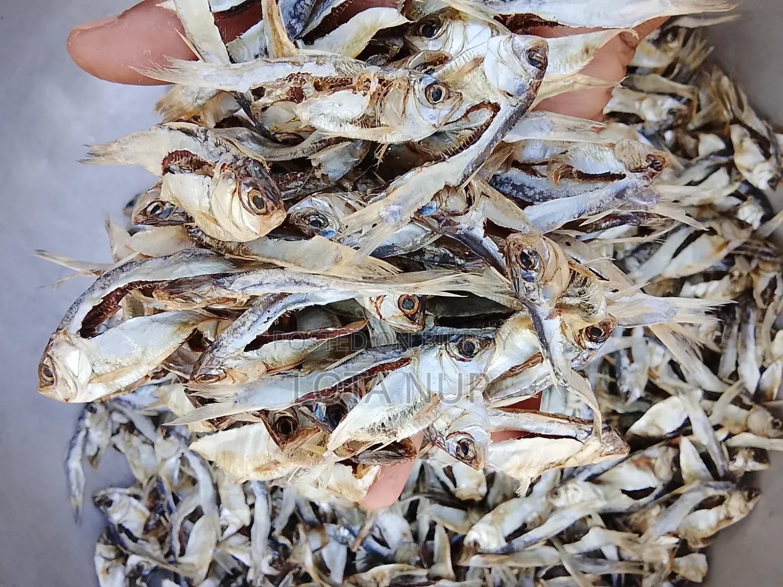 Rangamati Fresh Water Chapila Dried Fish
