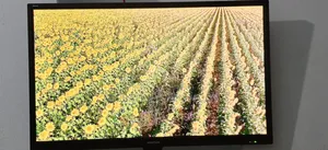 Walton 32 Inch Smart LED TV — For Sale in Full Fresh Condition