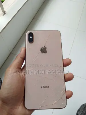 অ্যাপল আইফোন এক্সএস ম্যাক্স ২৫৬ জিবি রোজ গোল্ড