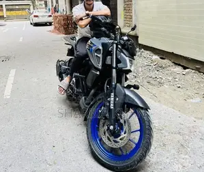 Yamaha FZS V4 2024 Gray