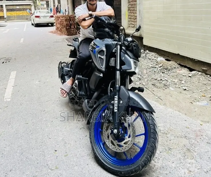 Yamaha FZS V4 2024 Gray