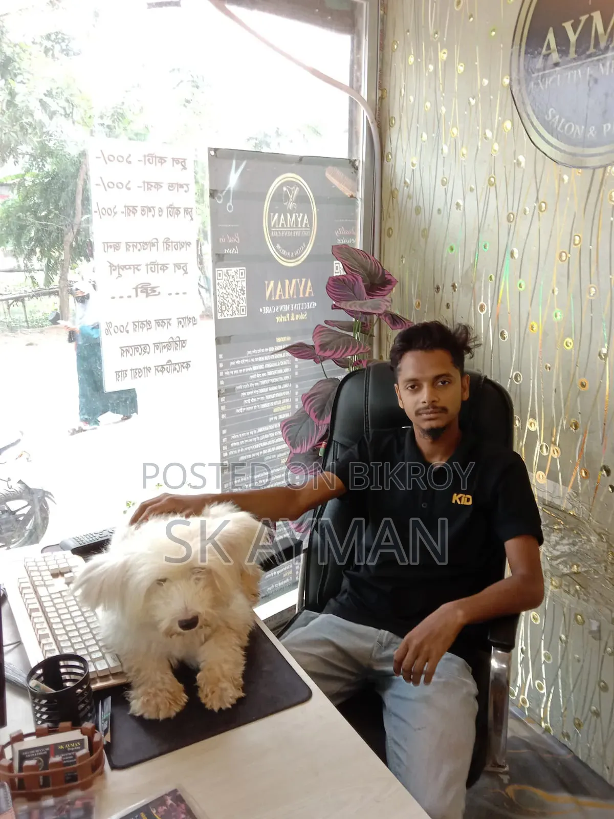 6-12 months Female Purebred Lhasa Apso