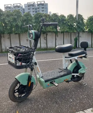 Dongjin A2 Electric Bike E-Bike Electric Cycle