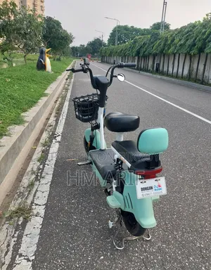 Dongjin A2 Electric Bike E-Bike Electric Cycle