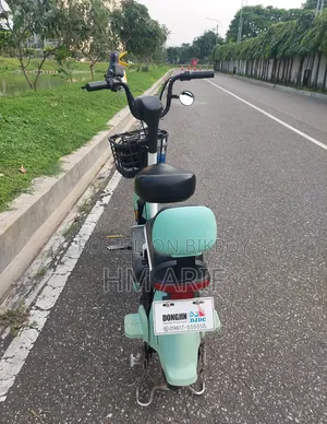 Dongjin A2 Electric Bike E-Bike Electric Cycle
