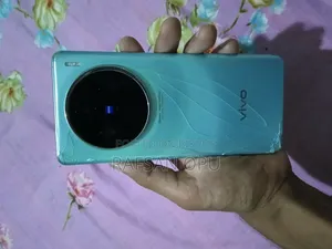 Vivo X100 256 GB Blue
