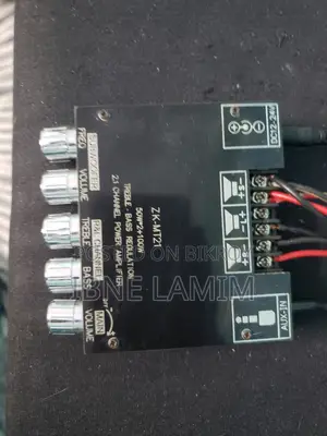 Cabinet + Amplifier for Sell