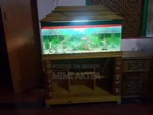 স্ট্যান্ডসহ ব্যবহৃত অ্যাকুরিয়াম