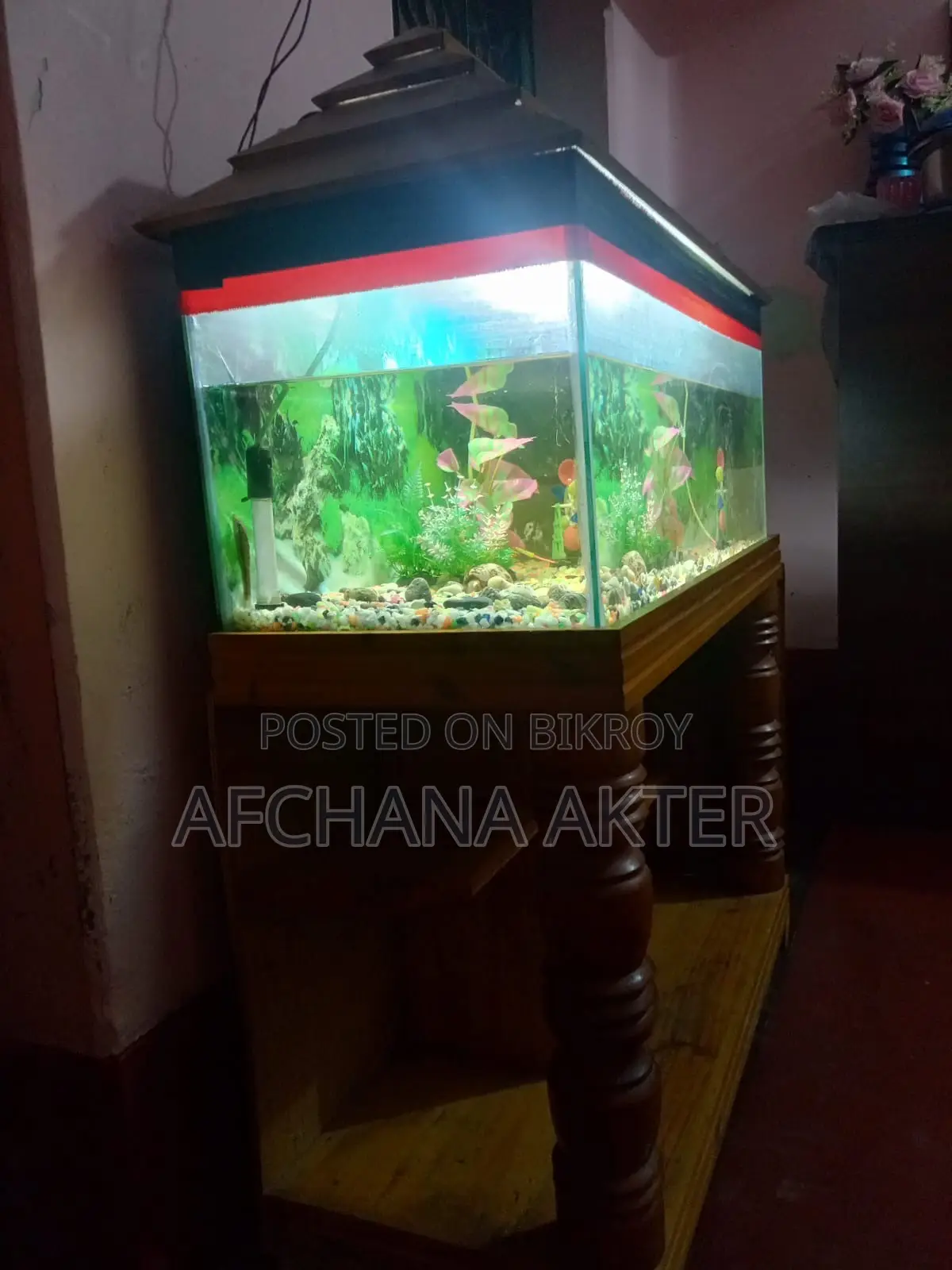 Used Aquarium With Stand