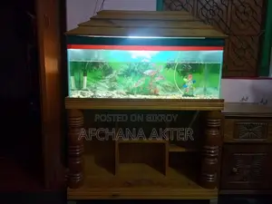 Used Aquarium With Stand