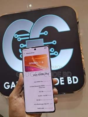 Vivo X100 Pro 512 GB