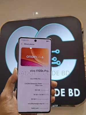 Vivo X100 Pro 512 GB