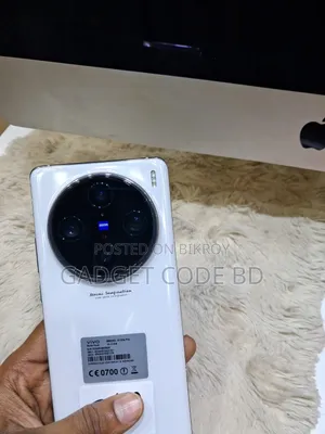 Vivo X100 Pro 512 GB