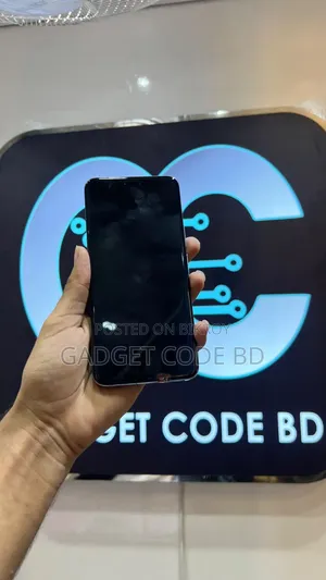 Vivo X100 Pro 512 GB