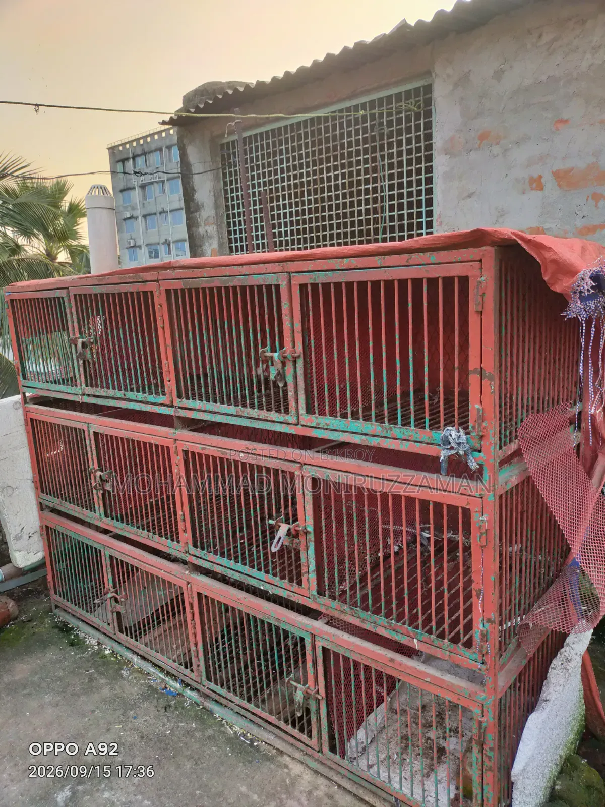লোহার তৈরি মজবুত কবুতর এর উপযুক্ত খাঁচা