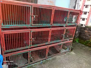 লোহার তৈরি মজবুত কবুতর এর উপযুক্ত খাঁচা