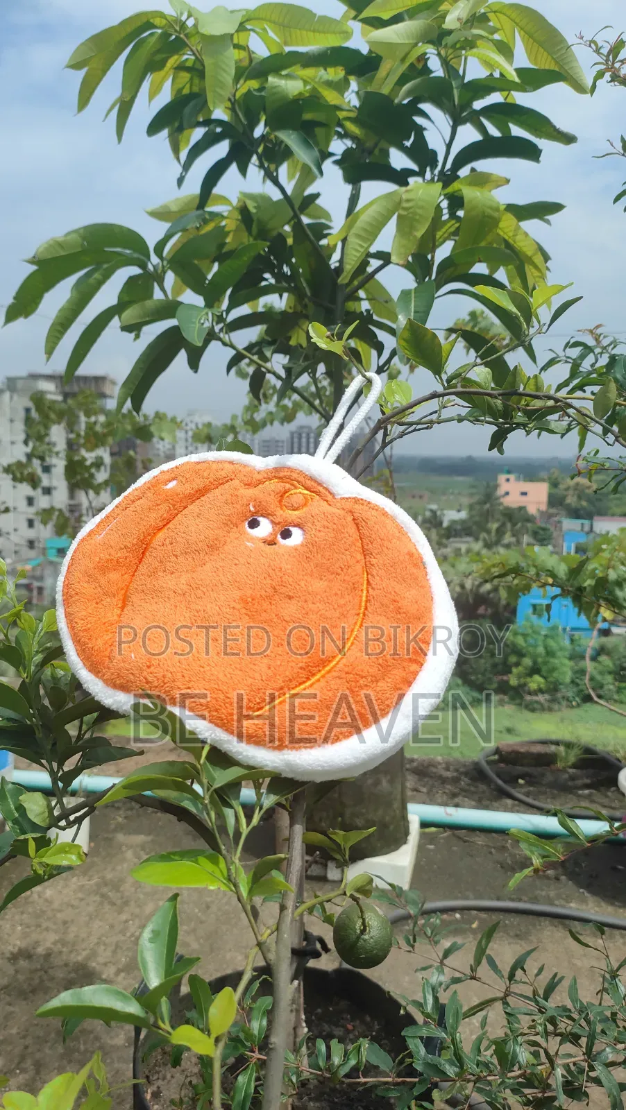 কিচেন টাওয়েল