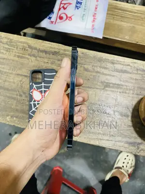 অ্যাপল আইফোন ১২ প্রো ২৫৬ জিবি নীল