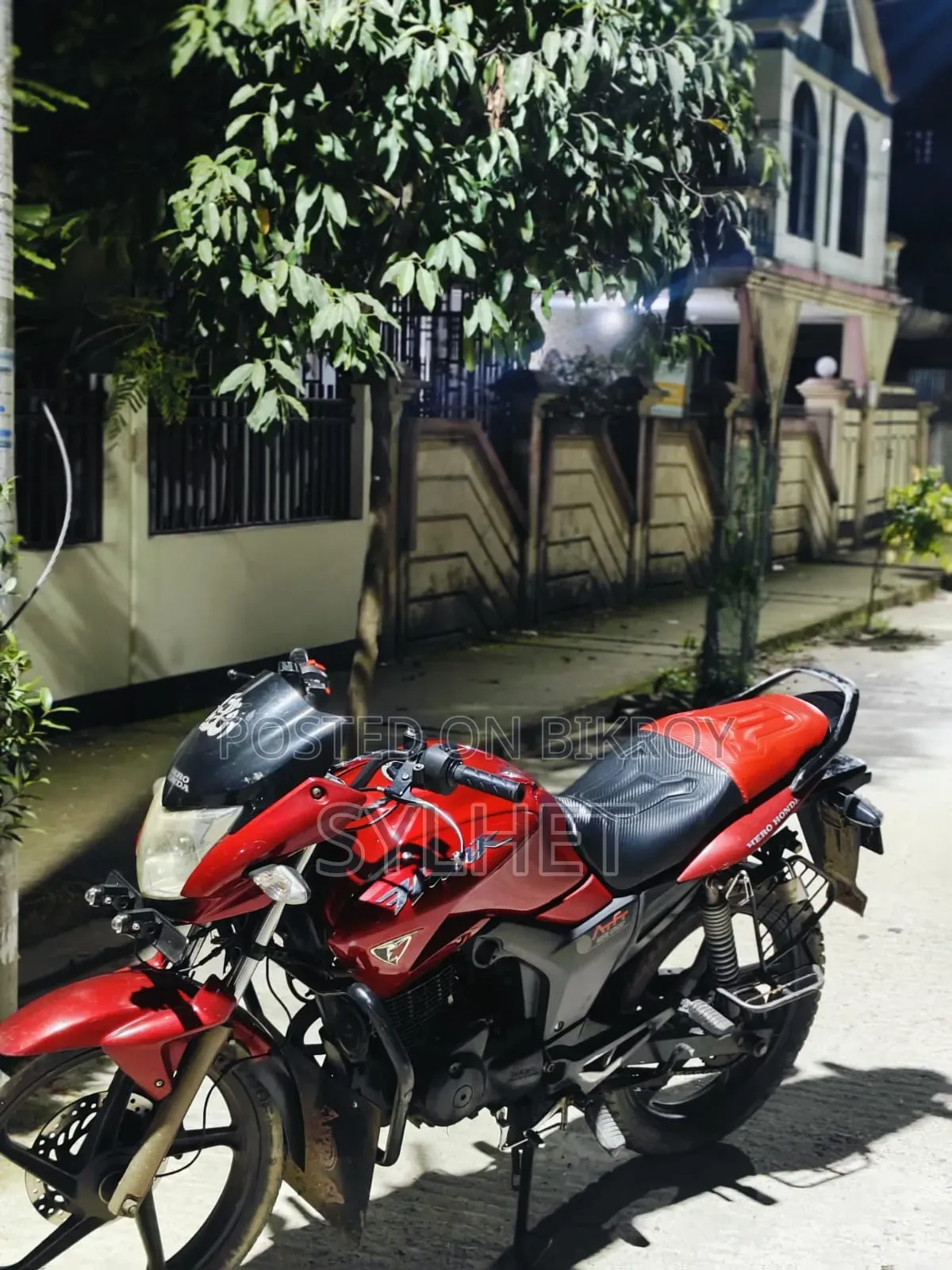 হিরো হাংক ২০১১ লাল