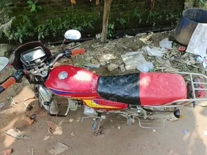 ওয়ালটন লিও ৯০ ২০১২ লাল