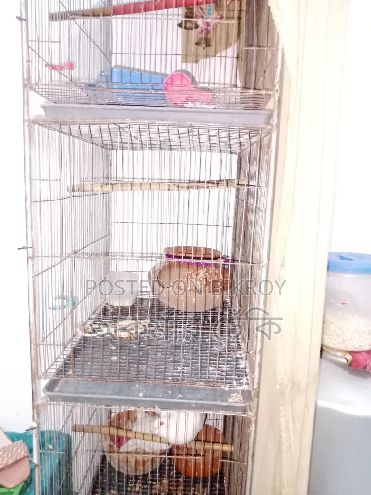Bird Cage