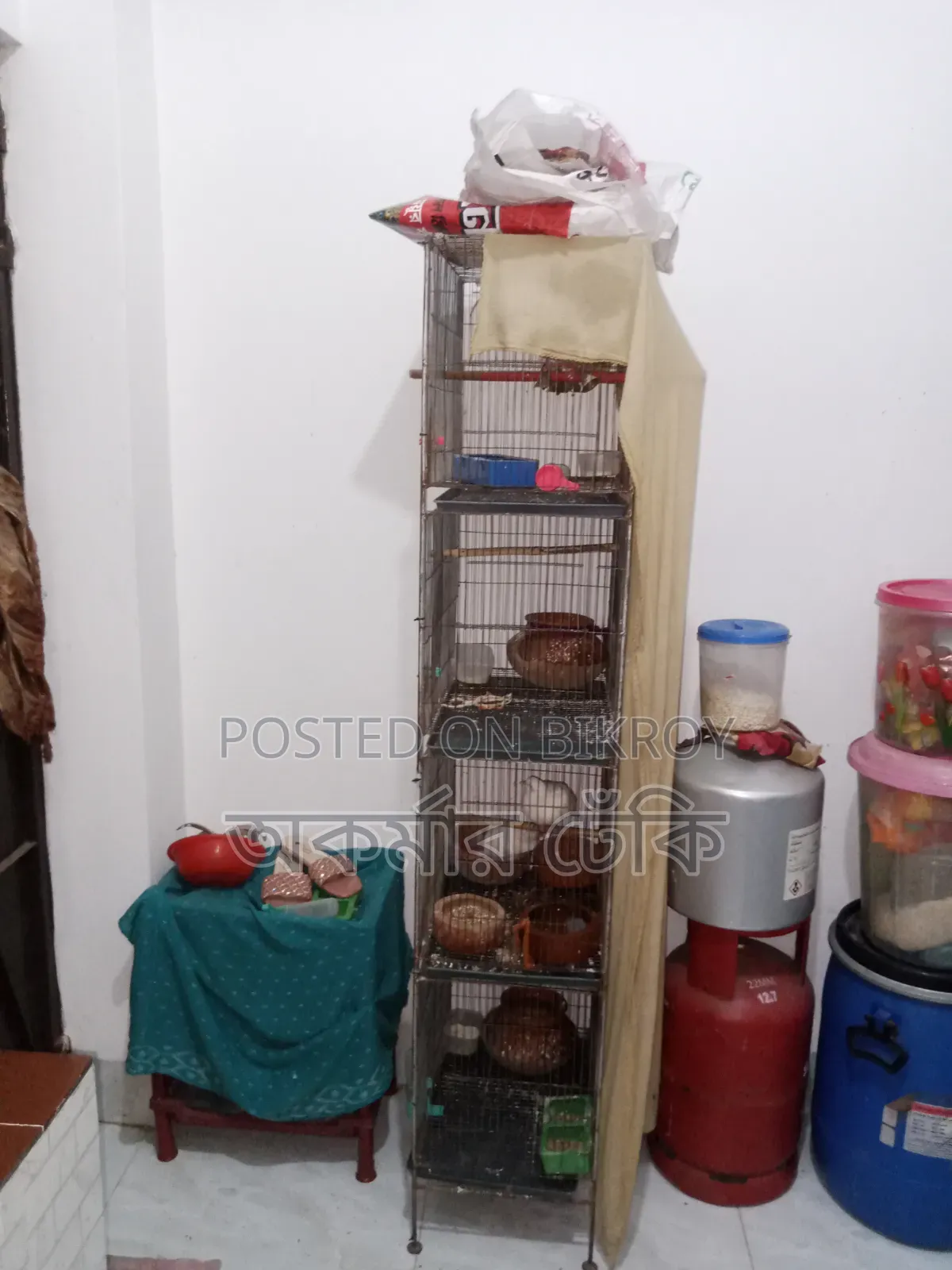 Bird Cage