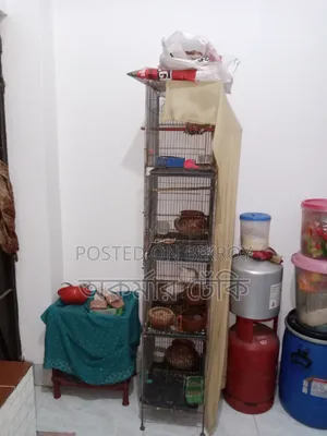Bird Cage