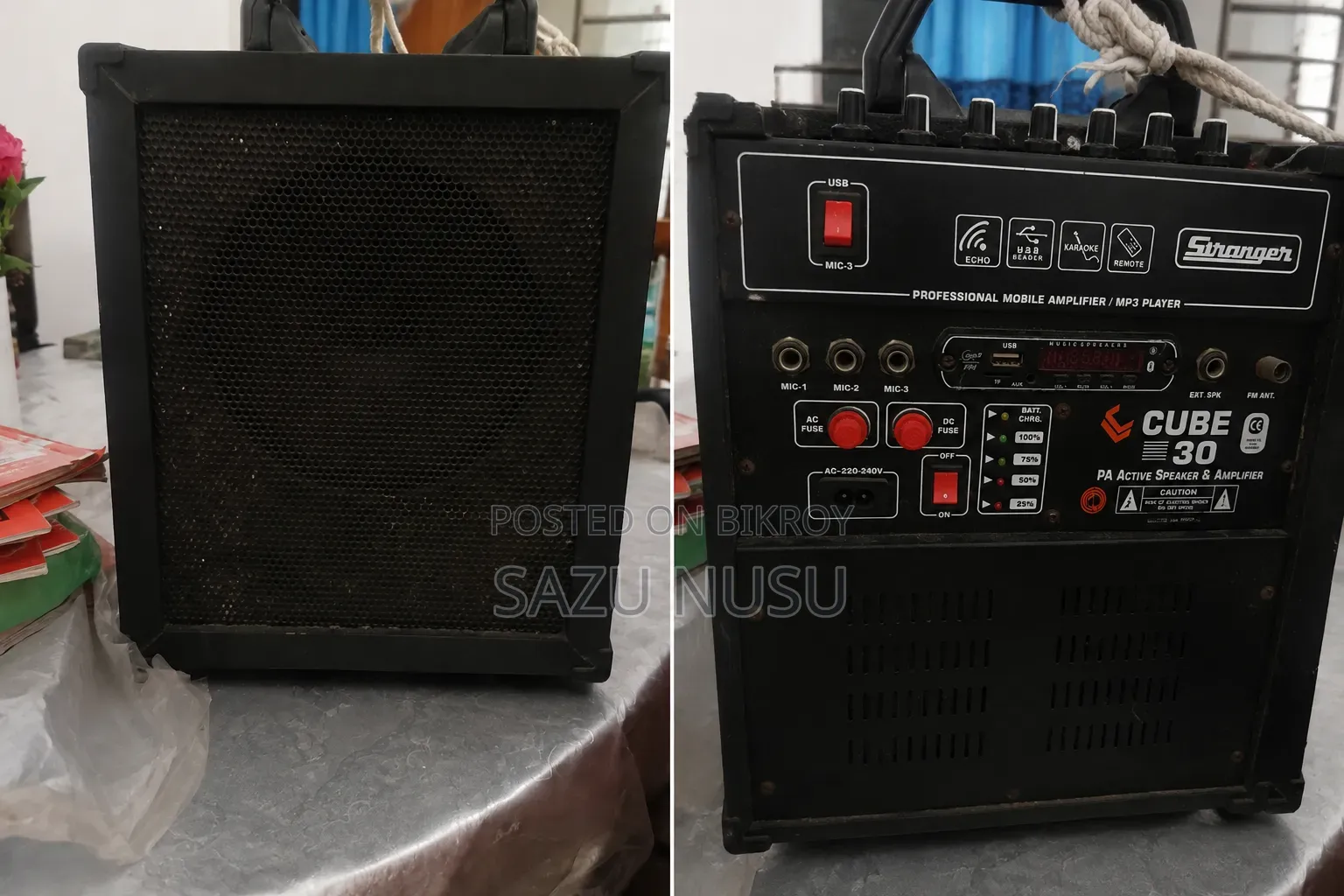 পোর্টেবেল সাউন্ড সিস্টেম