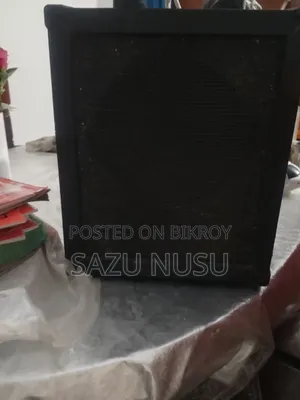 পোর্টেবেল সাউন্ড সিস্টেম
