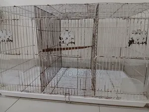 Chinese Cage | L30"/ H18"/ W18"