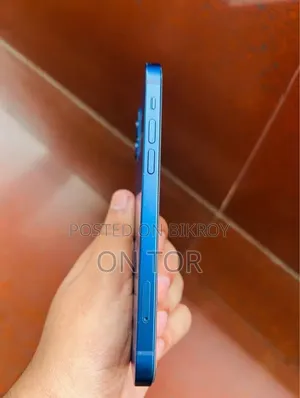 Apple iPhone 12 256 GB Blue
