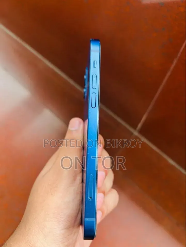 Apple iPhone 12 256 GB Blue