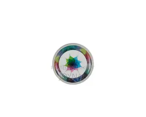 10" Coup Plate 3pcs