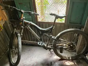 Octopus Bicycle
