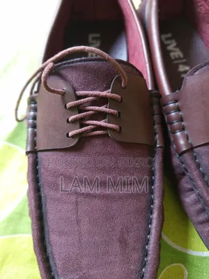 Loafer Shoes