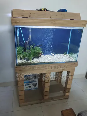 Full Set Up Aquarium