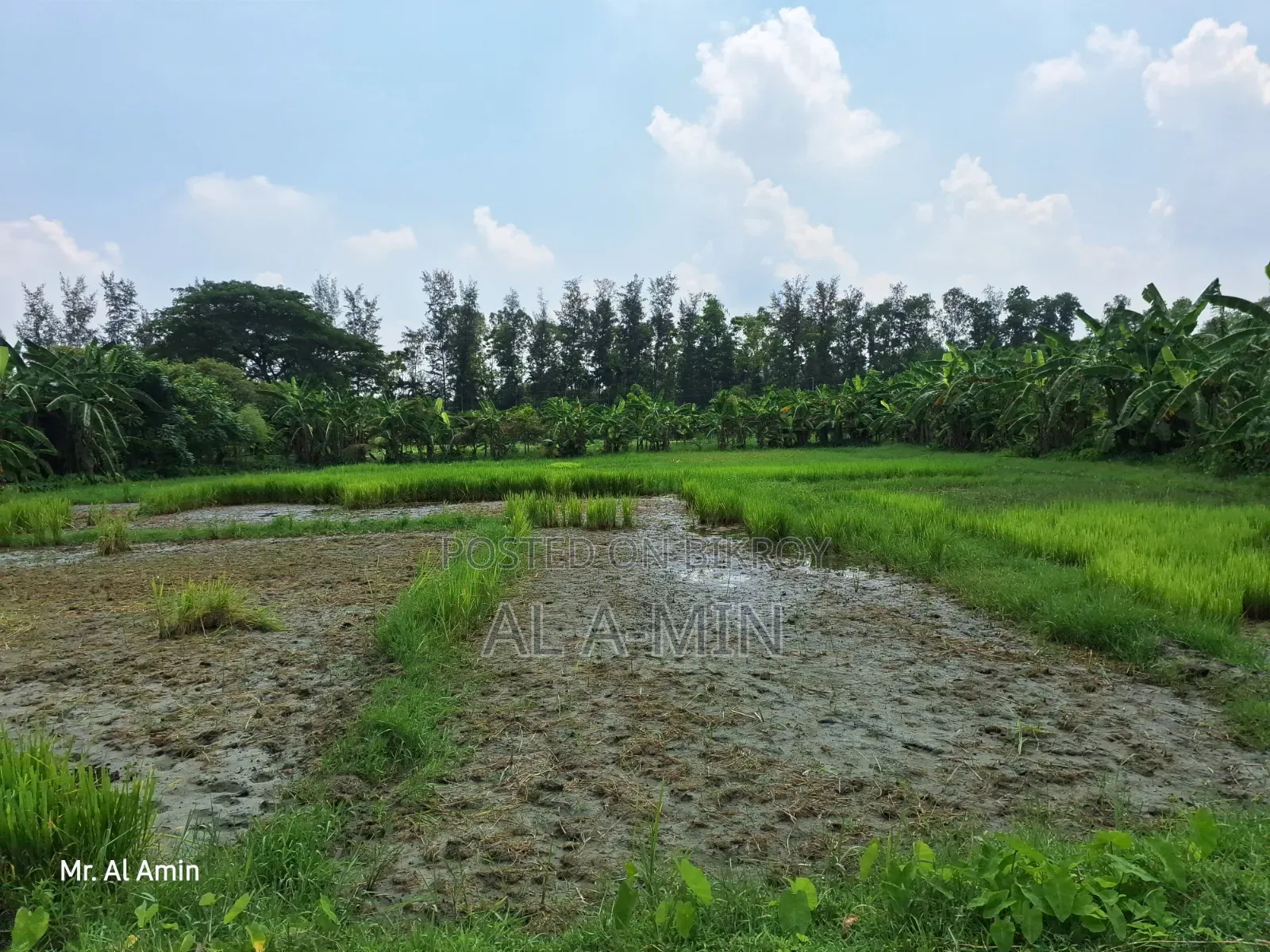 18 Acres Commercial / Industrial Land for Sale (Near Proposed Airport)