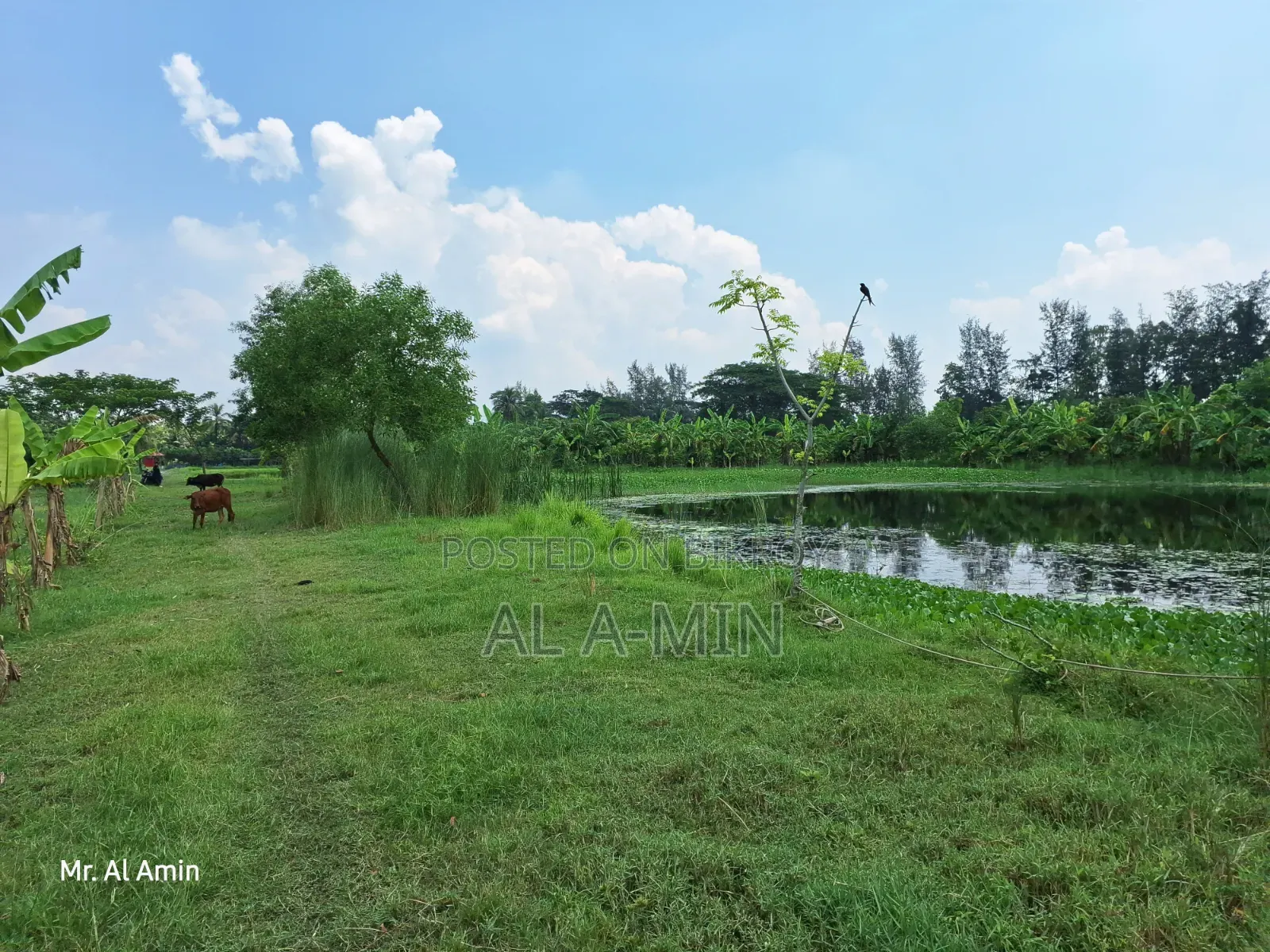 18 Acres Commercial / Industrial Land for Sale (Near Proposed Airport)