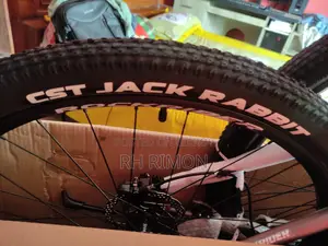 CST Jack Rabbit Tyre 29x2.10 (Brand New Take-Off)